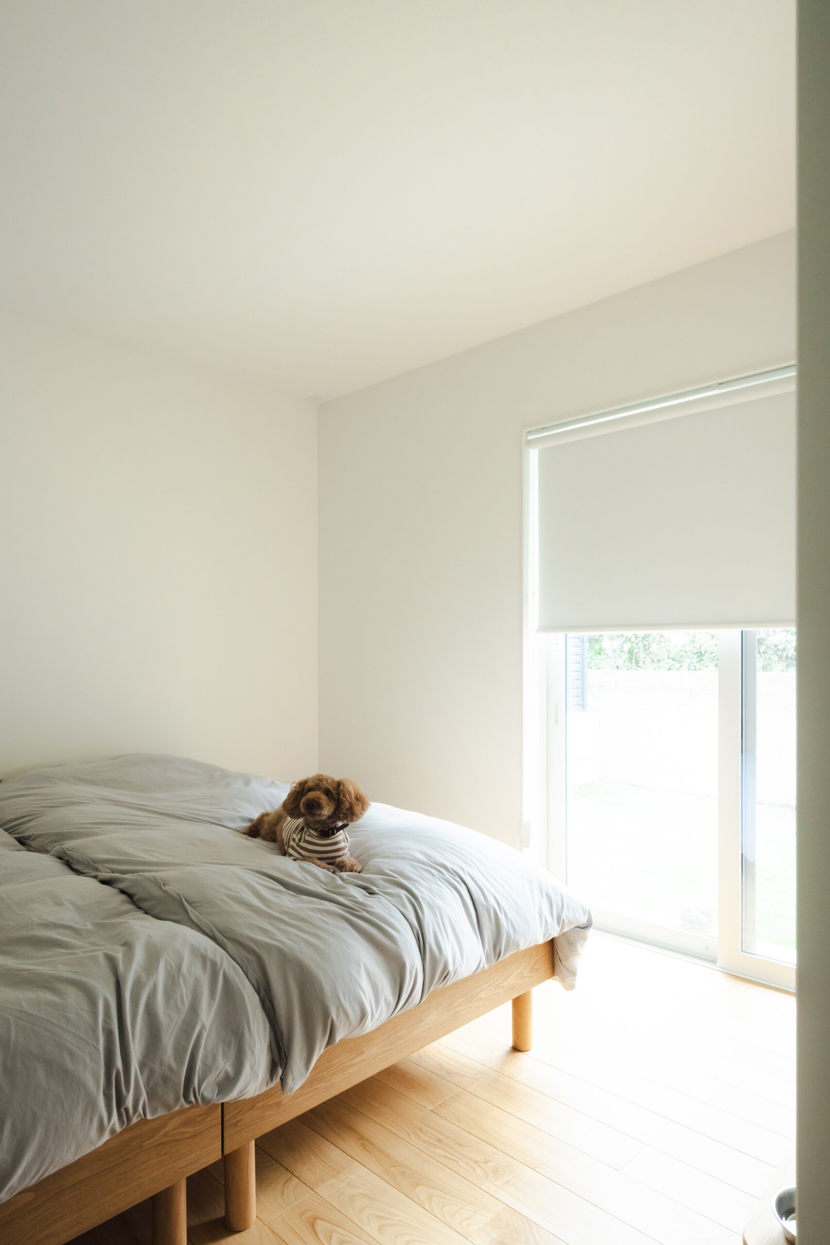Slideshow Image 6